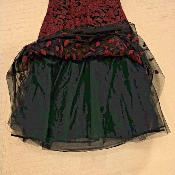 BCBG Max Azria Dress 8 Red Black Floral Embroidered Tulle Mesh Gown Formal NWT - Picture 10 of 13